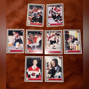 1991 Ottawa 67’s OHL Vintage Hockey Trading Card Collection